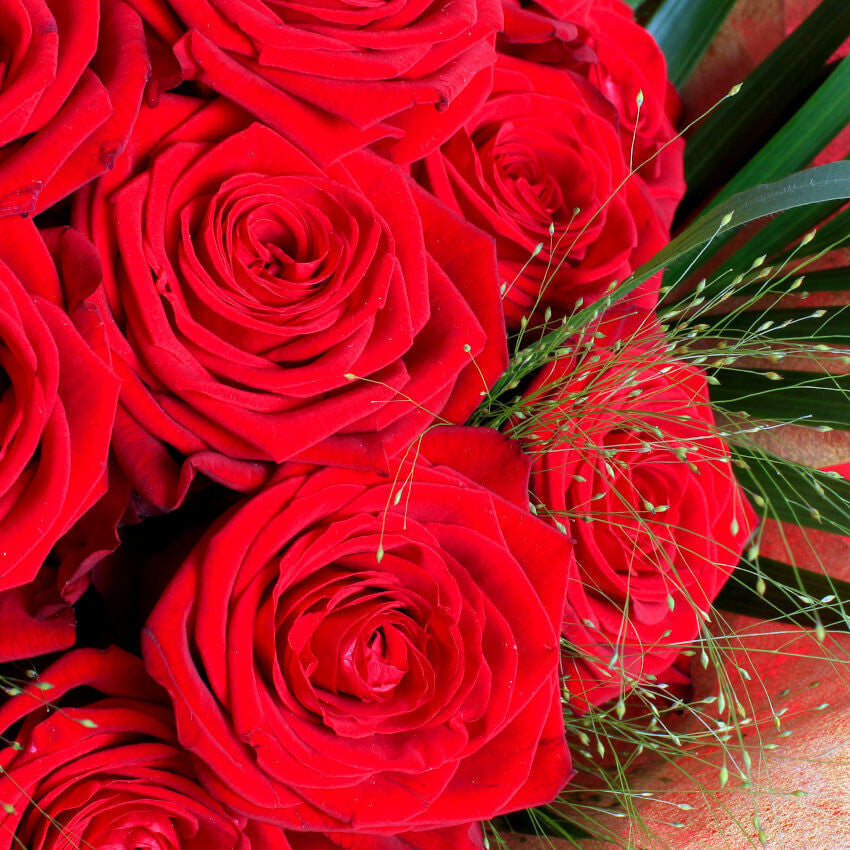 LUXURY TWO DOZEN RED ROSES