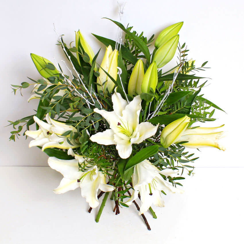 SNOW WHITE LILIES