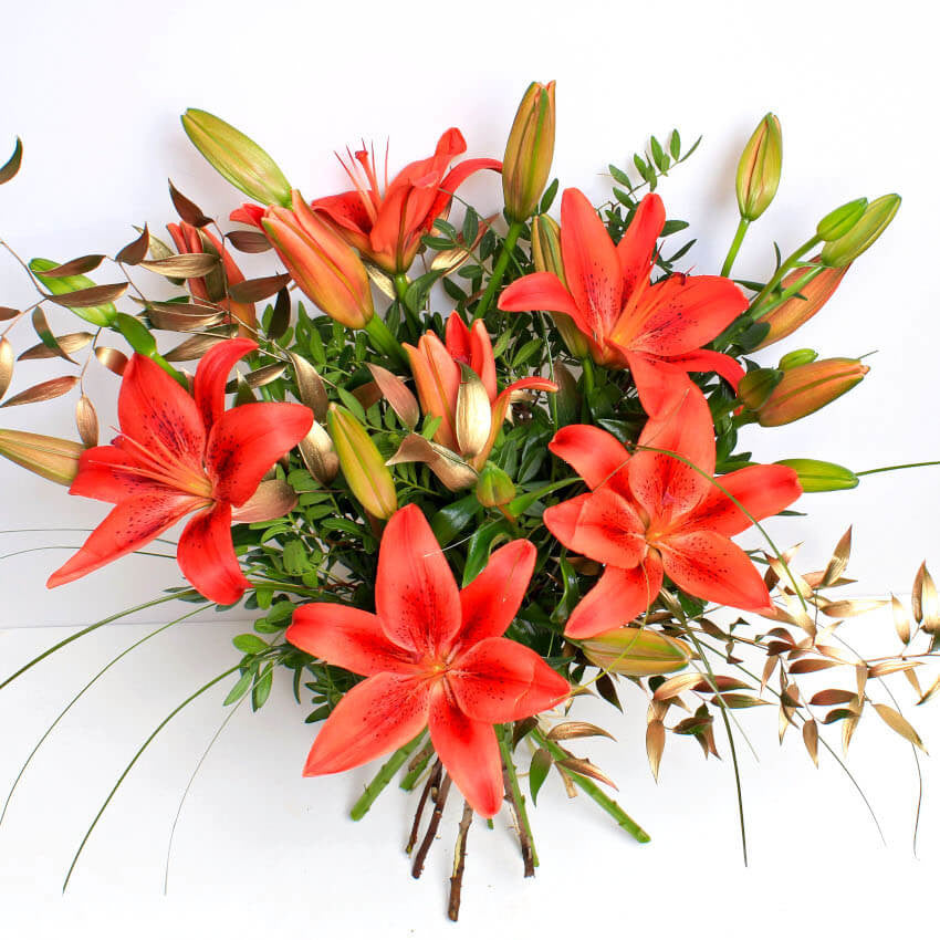 FESTIVE RED LILIES