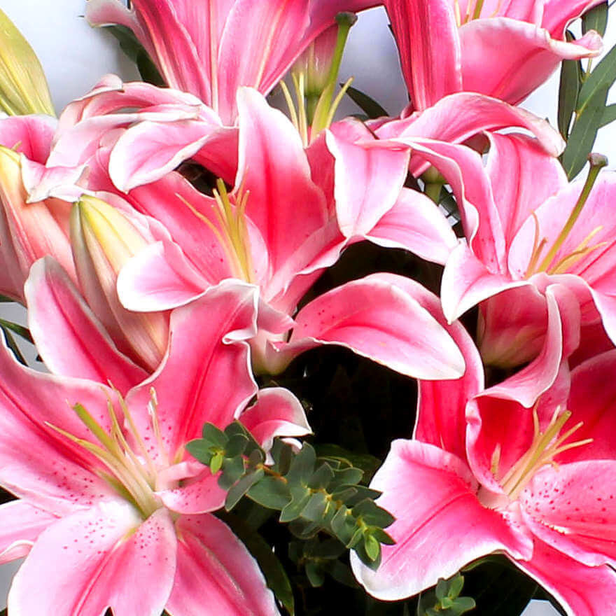 PINK LILY BOUQUET