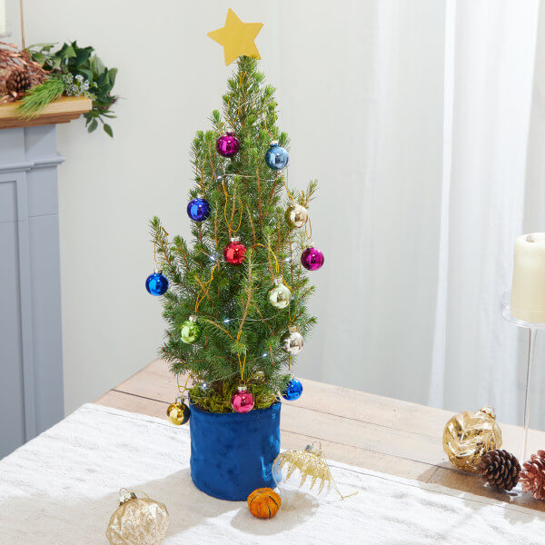 Letterbox Christmas Tree