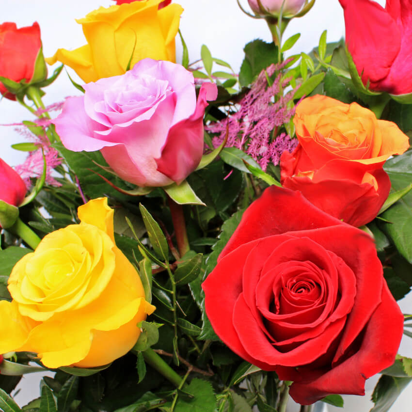 Mixed Roses 12