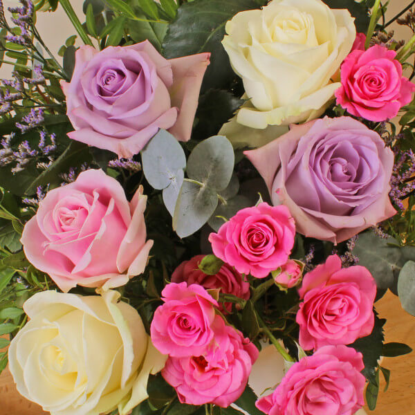 Pastel Mixed Rose