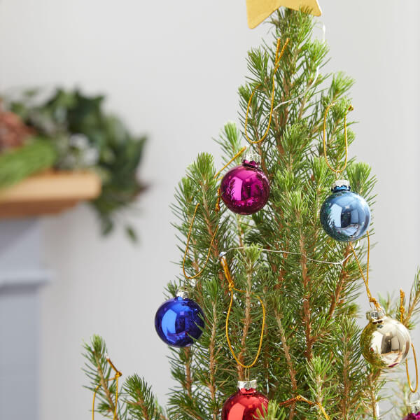 Letterbox Christmas Tree